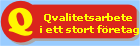 Qvalitetsarbete 
i ett stort fretag